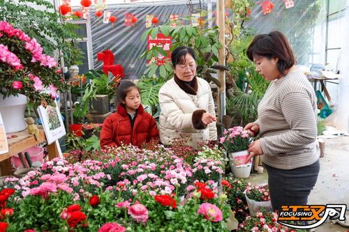花香四溢春意浓——探访荆州市长湖花木大世界与花卉种植技术咨询